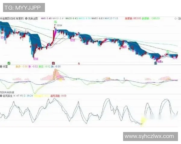 赛后复盘深圳与上海篮球队对决的精彩瞬间与战术分析 赛后复盘深圳与上海篮球队对决的精彩瞬间与战术分析