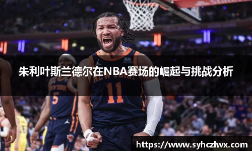 朱利叶斯兰德尔在NBA赛场的崛起与挑战分析